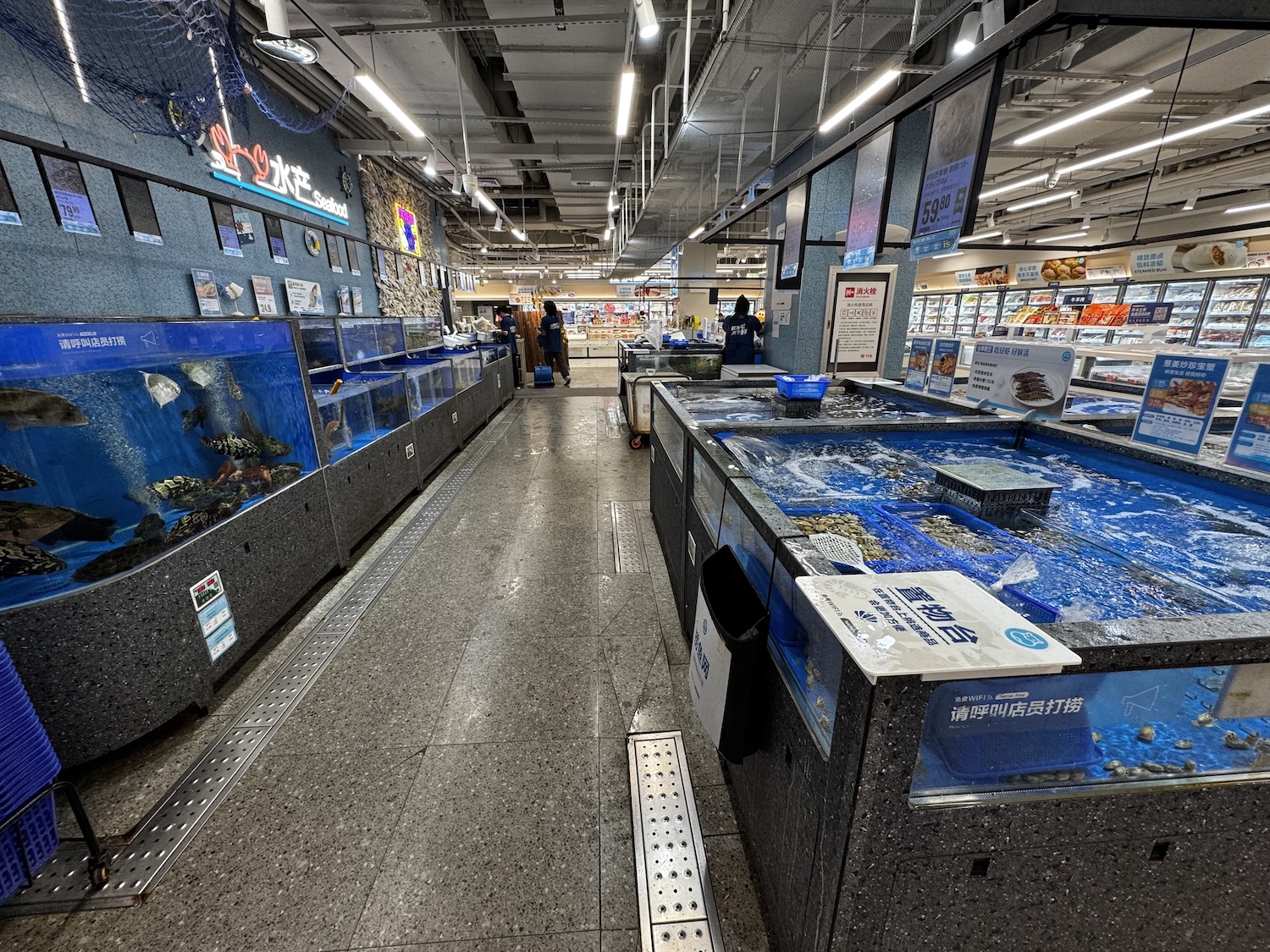In een supermarkt staan aquaria vol met levende vissen voor consumptie